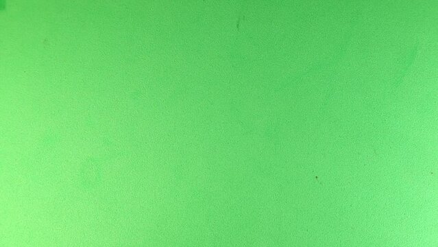 Spider isolated on a green background. It's called a European Water spider . Close up of a spider walking. Spiders. Insect, insects, bug, bugs, animal, animals. wildlife