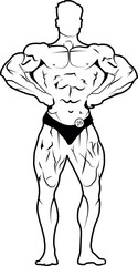 cbum lat pose detailing vector with white background