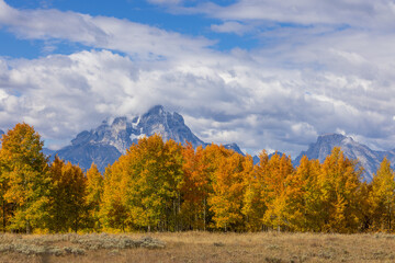 Fototapeta premium Beautiful Autumn Landscape in Grand Teton National Park Wyoming