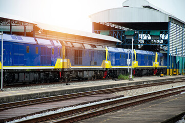 A train of diesel trains entering the platform Freight and passenger trains