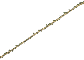 leaves tape rope transparent background isolated