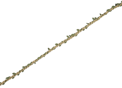 leaves tape rope transparent background isolated