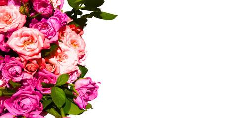 Natural cute pink flowers isolated on a transparent background