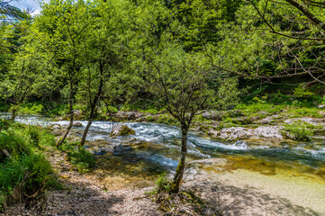 A view across a section of rapids on the Mostnica river in the Mostnica gorge close to lake Bohinj in Slovenia in summertime