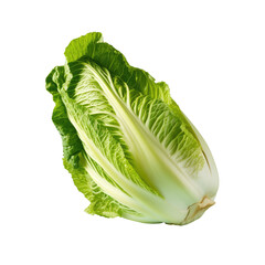Chinese cabbage isolated on transparent background
