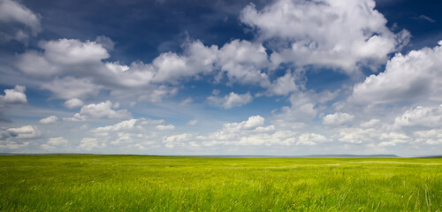 grass field grass and sky background Skyline panorama
