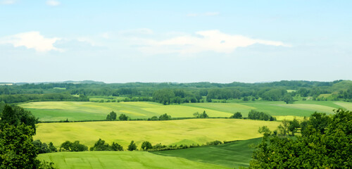 Naklejka premium meadow hill rural landscape Land and sky skyline 3D illustration