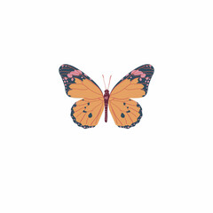 Fototapeta na wymiar It seems like you're describing a butterfly that has both black and beige colors in its wings. While butterflies are well-known for their vibrant and diverse color patterns, it's important to note th