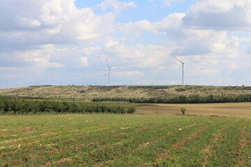 A field with windmills in the distance