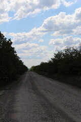 Fototapeta premium A dirt road with trees and clouds in the sky
