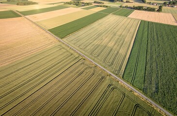 Luftaufnahme - Getreidefelder mit unterschiedlichen Getreidesorten und Reifungsgrad prägen die...