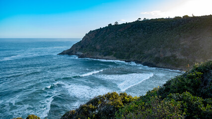 Garden Route Road Trip South Africa