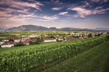 Fototapeta na wymiar Eppan landscape near Bolzano in South Tyrol, Italy, Europe.