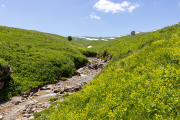 the beginning of summer, mountain river, walking along the canyon, hiking trails and recreation in the mountains.