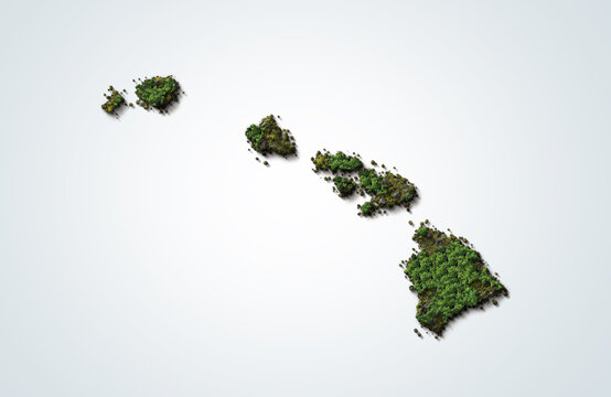 Hawaii Green map 3d concept background.
