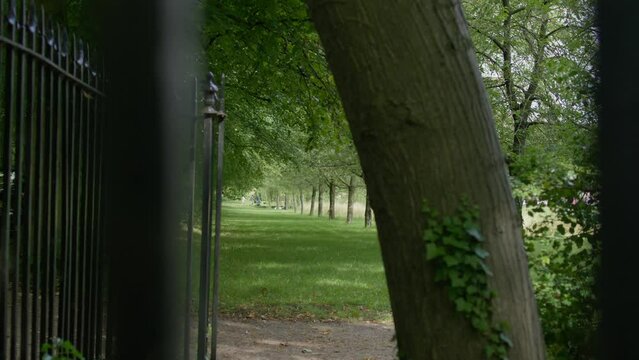 Cambridge Trinity College gate vignette park view