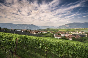 Fototapeta na wymiar Eppan landscape near Bolzano in South Tyrol, Italy, Europe.