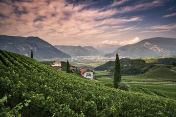 Eppan landscape near Bolzano in South Tyrol, Italy, Europe.