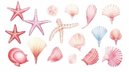 Set of different sea shells corals and starfishes.
