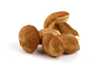 Forest mushrooms - Boletus edulis, isolated on white background.