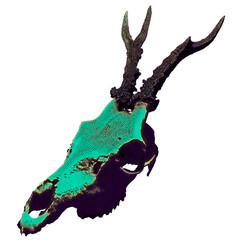 Obraz premium Halloween Satanic Goat Head horns Sheep Skull Dark Art. Tattoo Hand Drawn illustration