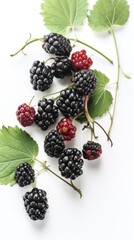 Berrylicious Wonders: Exploring the Delightful World of Blackberries, generative ai