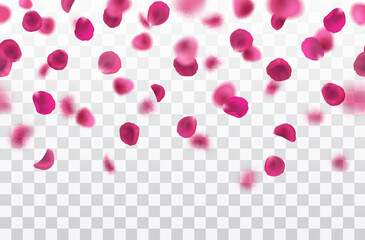 Vector realistic seamless border with fallig pink rose petals on transparent background
