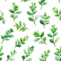 Thyme spice seamless watercolor pattern on the white background background herb background