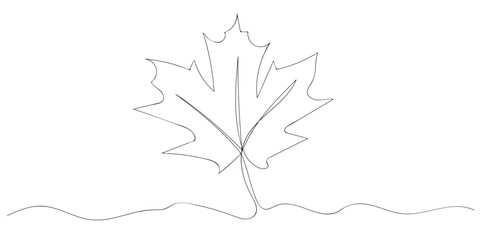 Continuous line drawing of leaf. Vector illustration. Hand drawn sketch of leaves.