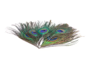 Fotobehang peacock feather isolated © ksena32