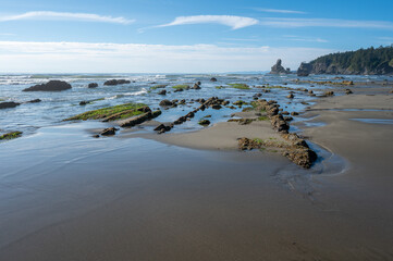 Rocks and tide pools exposed at low tide on Shi Shi Beach and seashore in Olympic National Park,...