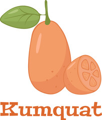 Flat vector of Kumquat fruit isolated on white background.
