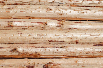 Logs of wood, hewn, processed, stacked close-up