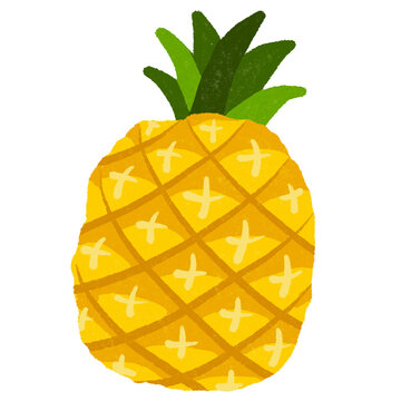 pineapple with leaves