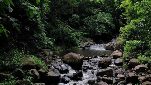 Agua cristalina fluye serena, vida acu&aacute;tica prospera, entorno verde, pureza natural, ecosistema saludable florece
