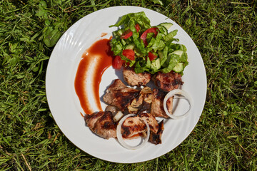 Barbecue with onions, vegetable salad and sauce on a plate. Lunch on the grass lawn. Close-up.