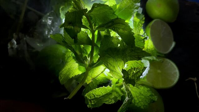 Fresh green mint leaves on water drops with green lemon and ice paces with smoke on a black background.4K UHD video footage 3840X2160.