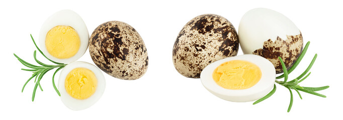 boiled quail egg isolated on white background with full depth of field. Top view. Flat lay