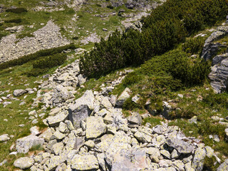 Aerial view of Rila Mountain near Malyovitsa peak, Bulgaria