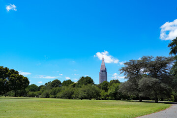 公園から見た高層ビル