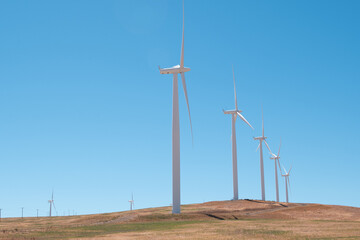 Wind farm horizon producing power electricity