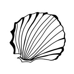 Seashell doodle line art design element for coloring page, teaching resourses.