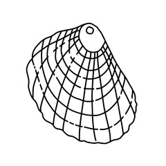 Seashell doodle line art design element for coloring page, teaching resourses.