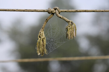 Spider web between rope ends 