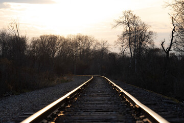 Fototapeta premium Dead trees and a beautiful morning sky along the rail road tracks