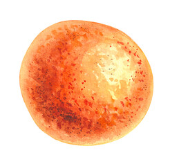 Fototapeta premium Citrus fruits isolated on white background