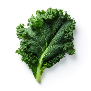 Kale on a plain white background - isolated stock pictures Lavender_on_a_plain_white_background - isolated stock pictures