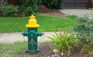  fire hydrant on a city street, a crucial icon of safety and preparedness, symbolizing firefighting...