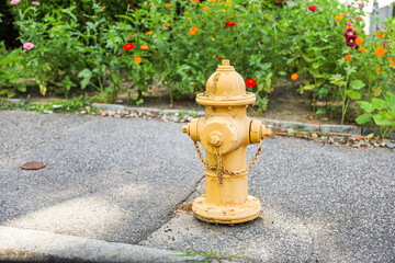  fire hydrant on a city street, a crucial icon of safety and preparedness, symbolizing firefighting...