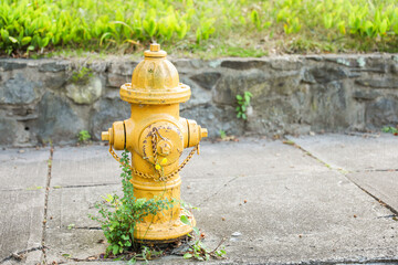  fire hydrant on a city street, a crucial icon of safety and preparedness, symbolizing firefighting...